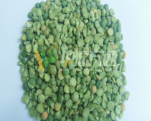 <a href=http://www.newcon-sh.cn/product/8/ target=_blank class=infotextkey>豌豆脫皮機(jī)</a>